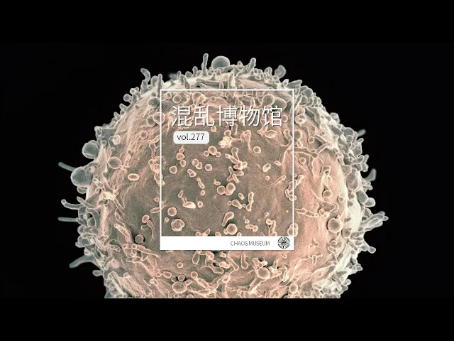 如何馴化免疫細胞?| 混亂博物館